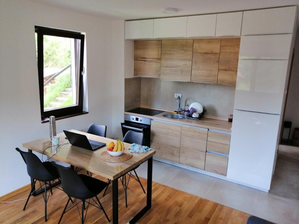 Vila Irina Kopaonik - Apartman Jovana Exteriör bild