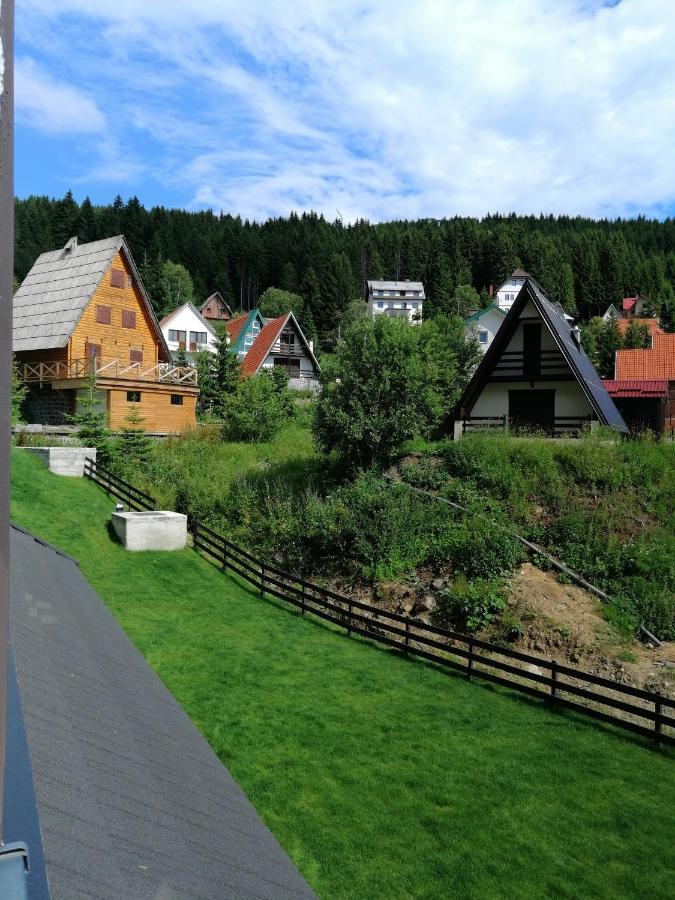 Vila Irina Kopaonik - Apartman Jovana Exteriör bild