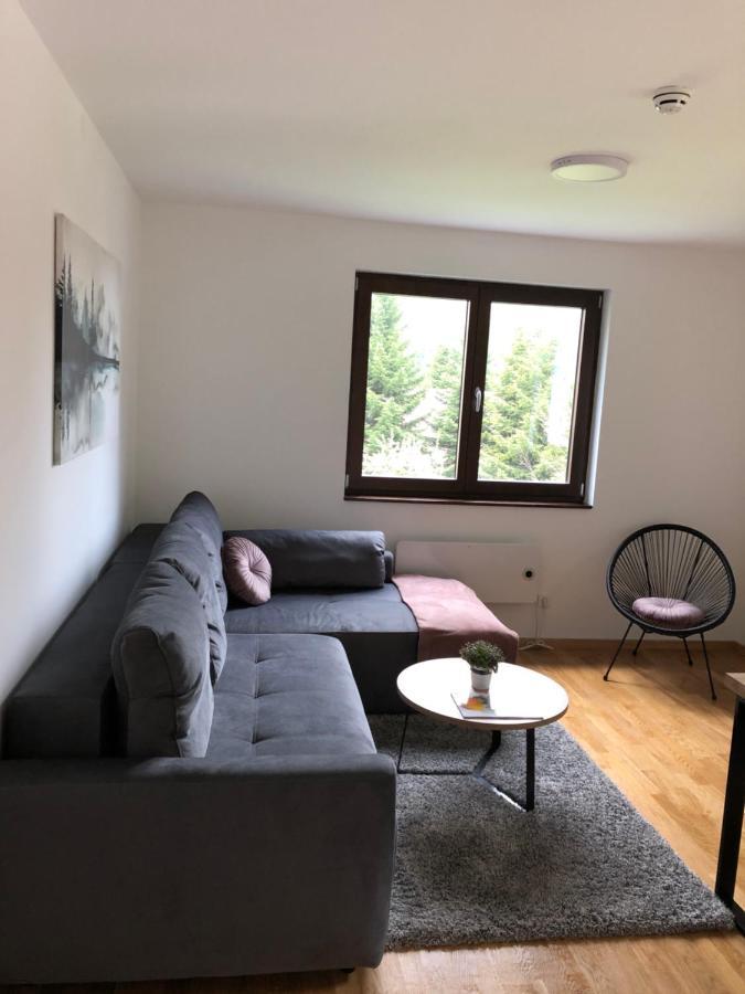 Vila Irina Kopaonik - Apartman Jovana Exteriör bild