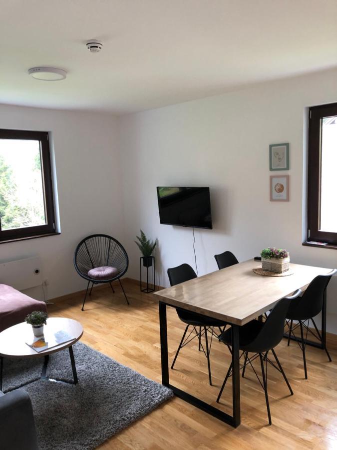 Vila Irina Kopaonik - Apartman Jovana Exteriör bild