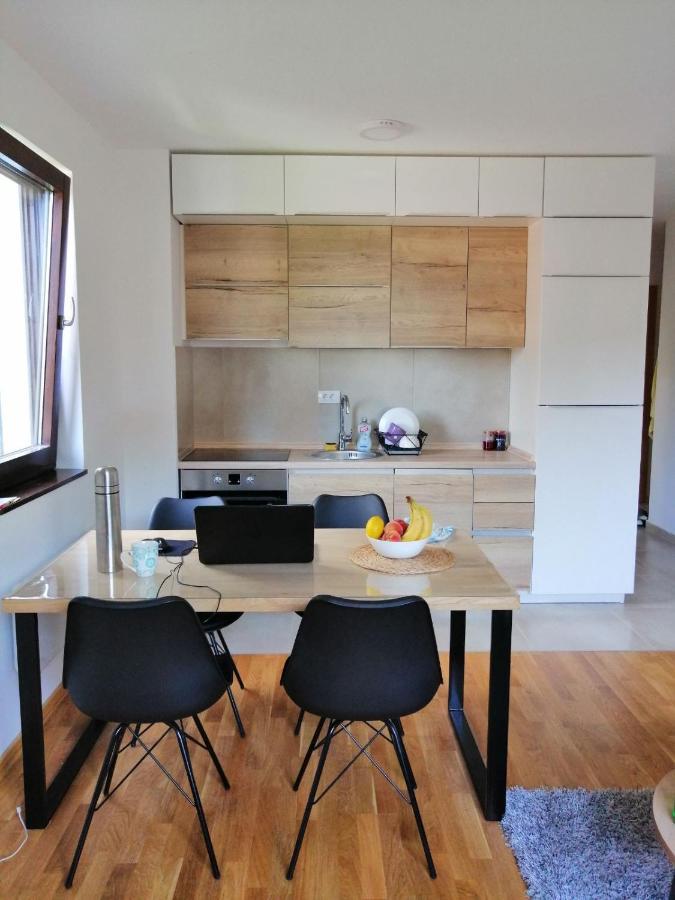 Vila Irina Kopaonik - Apartman Jovana Exteriör bild
